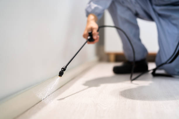 Licensed Exterminator service in Red Bluff, CA - Show Me Pest Control