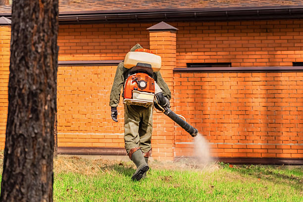 Top rated local Mosquito Control specialists in Red Bluff, CA
